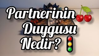 Partnerinin Durduğu Yer Neresidir🍒Zamansız Okuma Bir Deste Seç🌟 [upl. by Arabeila459]