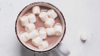 How to Make Hot Cocoa  Rich Chocolatey and Homemade [upl. by Elfont]