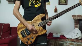 TOOLVicarious Bass cover WAL Mk1 [upl. by Girard]