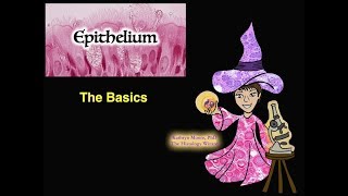 Epithelium The Basics [upl. by Artap]