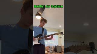 Solo for Badfish by Sublime [upl. by Cross951]