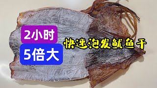 泡發幹魷魚墨魚，別只用堿水和清水，海邊人教的做法，2小時5倍大 How to Soak Dried Squid [upl. by Aicerg]