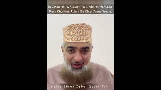 Tu Zinda Hai Wallah Ateraaz Lal Roumal wala Xpose  Hafiz Ehsan Qadri  Sunni International Scholar [upl. by Gnuh]