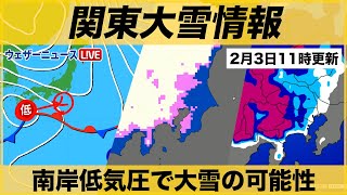 【関東雪情報】南岸低気圧で大雪の可能性も（3日11時更新） [upl. by Erodroeht452]