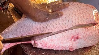 I Never Seen Giant Rohu Fish Cutting Live In Fish Market  Fish Cutting Skills [upl. by Zoubek]