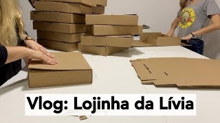 Lojinha da Lívia  Pedidos Como Trabalhamos Atendimento [upl. by Reddin513]