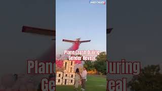 Gender Reveal Plane Crash Spoiler Its A GIRL [upl. by Moncear]