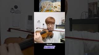 Violin Bridge│AUBERT vs DESPIAU [upl. by Tioneb605]