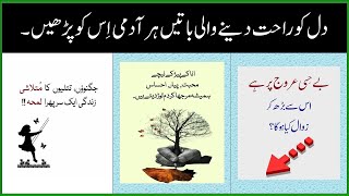 Islamic Video  Islamic Quotes  Golden Words in Urdu  Golden Words About Life Success Quotes [upl. by Ella]