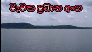 වැවක ප්‍රධාන අංග  8 ශ්‍රේණිය  ඉතිහාසය History grade 8 Sinhala medium [upl. by Kling]