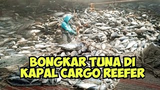 Bongkar Ikan Tuna Ribuan Ton Di Kapal Reefer fishing reefership ikanlaut [upl. by Dachy259]