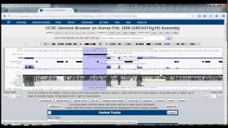 4 UCSC Genome Browser Tutorial table browser [upl. by Llewej]