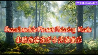 1 hour Scandinavian forest music Relaxing Soft Music  Meditation Music Relaxing Music Deep Sleep [upl. by Faye523]