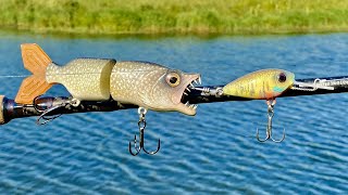 Pike Eating a CrankBait Lure  One Day Build to Catch [upl. by Valina835]