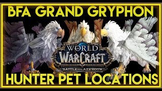 BFA  Grand GryphonFeathermane Hunter Pet Locations [upl. by Jozef]