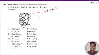 Which of the following set represents the correct labelling of AB C and D with respect to the giv [upl. by Florry]