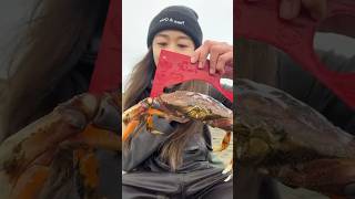 catch and cook dungeness crab SO good [upl. by Peadar77]