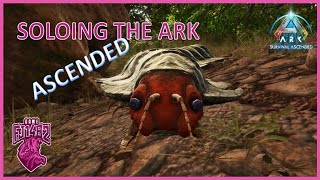 Taming Archaeopteryx and Arthropleura Soloing ARK Ascended Ep 52 [upl. by Nussbaum]