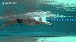 Butterfly Swimming Technique  Stroke [upl. by Harwin]