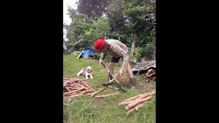 quot Everybody Sing the Song  Doo Dah quot Short2 harmonica funny woodworking shortsvideo [upl. by Alice142]