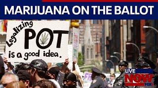 Election Day Marijuana on the ballot across 4 states  LiveNOW from FOX [upl. by Trebmer]