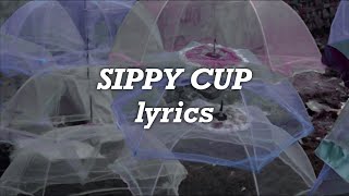 Melanie Martinez  Sippy Cup Lyrics [upl. by Akenihs]