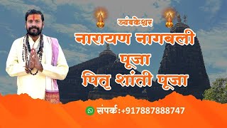 Narayan Nagbali Puja Trimbakeshwar  Pitra Dosh Pooja [upl. by Brinson]