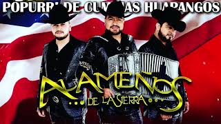 Los Alameños De La Sierra Mix 2024 Lo Más Chingon 💞 Puras Cumbias Para Bailar 💞 Huapangos Norteñas [upl. by Clance]