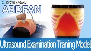 US1B Ultrasound Examination Training Model quotABDFANquot [upl. by Helbonnah]