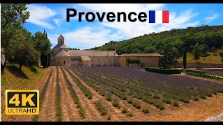 Provence  Abbaye Notre Dame de Sénanque  Lavender fields  France  4K walking tour lavender [upl. by Mchale]