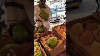 Sukkot Holiday Market Tel Aviv Israel  Etrog 🇮🇱 Israel TelAviv Sukkot [upl. by Yltnerb359]