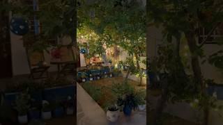 shortsviral home happygardeninglife [upl. by Poppo]