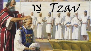 25a Tzav  Dvar Torah with Deeper Understanding into the SACRIFICES and the PRIESTS of ISRAEL [upl. by Daffy]