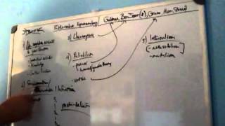 Introduction to Externalist Epistemology [upl. by Carrick]