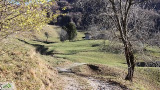 Rifugio Zucco della Croce da Moggio Lc [upl. by Hplodnar96]