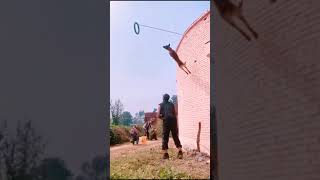 Dogs That Fly  Malinois amp Alsatian Dogs Show Their Jumping Agility Shorts [upl. by Suoicerpal437]