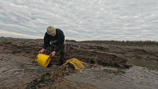 Bait Digging for Blow Lugworm Bailing a Pit [upl. by Hyatt]