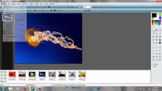 How to save a photo using photofiltre 7 [upl. by Yecad]