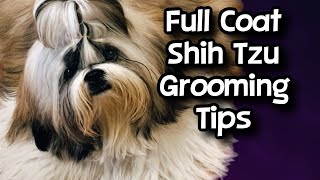 Full Coat Shih Tzu Grooming Tips [upl. by Anatollo]