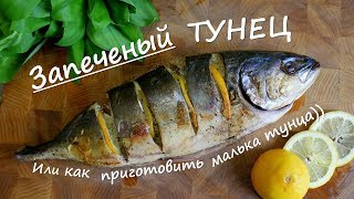 Как приготовить ТУНЕЦ  МАЛЕК ТУНЦА В ДУХОВКЕ [upl. by Helve]