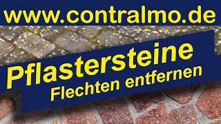 Wie man Pflastersteine reinigen kann das sind die besten Mittel so funktioniert es wir helfen [upl. by Loutitia765]