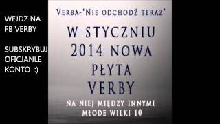 Verba  Nie odchodź teraz Zapowiedz nowej płyty Verby premiera styczeń 2014 [upl. by Rimaa910]