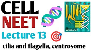 Cell  cilia and flagella centrosome Lecture 13 NCERT 11 BIOLOGY in a easy way [upl. by Neetsuj758]