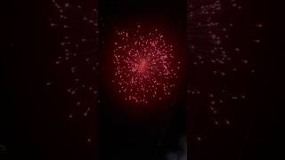 𝙋𝙄𝙉𝙆 𝘿𝙄𝘼𝙈𝙊𝙉𝘿𝙎 🎆💥 𝘼𝙉𝘼𝙉𝘿𝘼𝙎  diwali2024 fireworks crackers deepawali [upl. by Gastineau253]