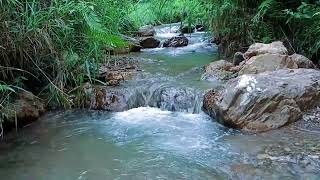 Flowing Stream ASMR for Relaxation  Calming Water Ambience [upl. by Snider820]