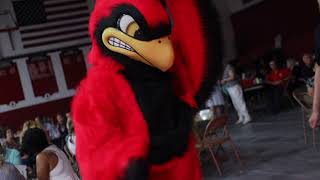 THE CARDINAL MASCOT MADE AN APPEARANCE AT STRITCHS 60TH BIRTHDAY BASH [upl. by Cohn256]