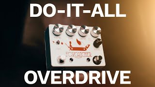 Coppersound Pedals Foxcatcher  Deep Dives Ep 1 [upl. by Glenda830]