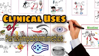 Parasympathomimetics Clinical Uses amp Classification of Direct Acting Cholinergic Drugs [upl. by Ambrosi]