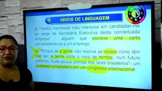 Português Descomplicado  Níveis de Linguagem  Yara Coeli [upl. by Pernell]