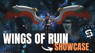 ✨ WINGS OF RUIN EX1 SHOWCASE ✨ Final Fantasy XIV [upl. by Eeliram]